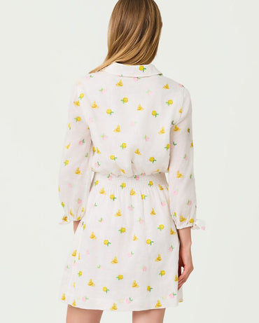 ABRALYNN LINEN SHIRTDRESS