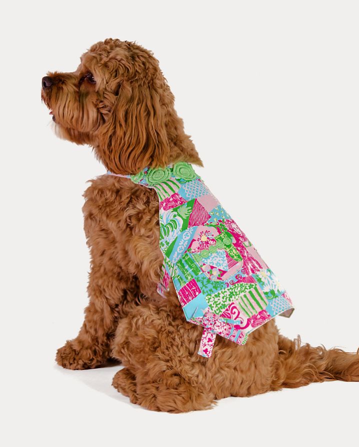 PET SHIFT DRESS
