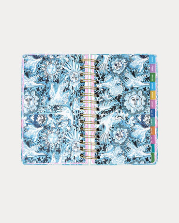 MEDIUM 17 MONTH AGENDA