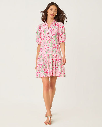 BINGLEY DRESS
