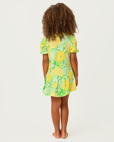 MINI BINGLEY DRESS