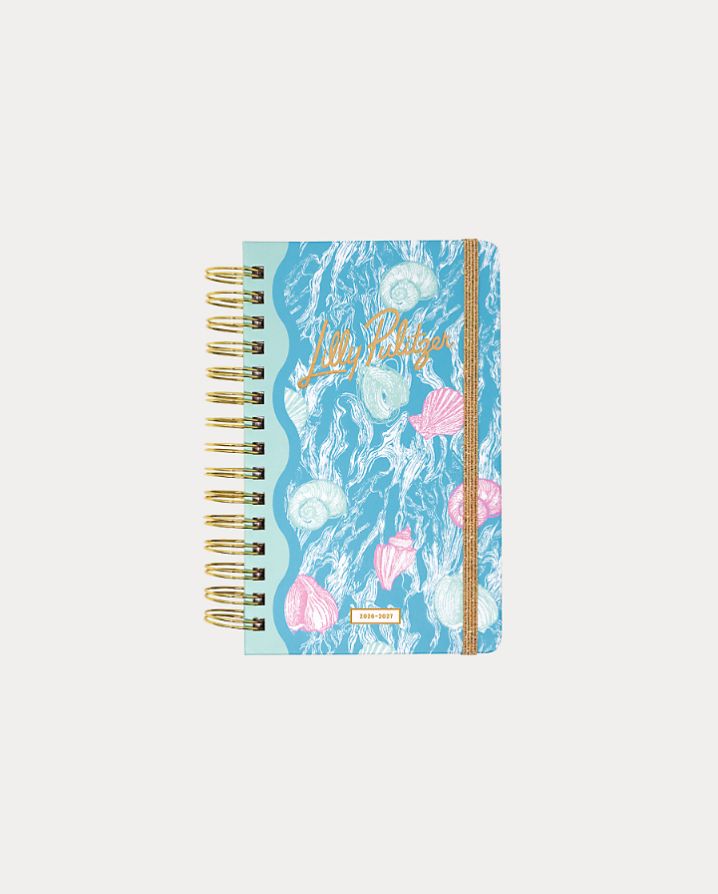 MEDIUM 17 MONTH AGENDA