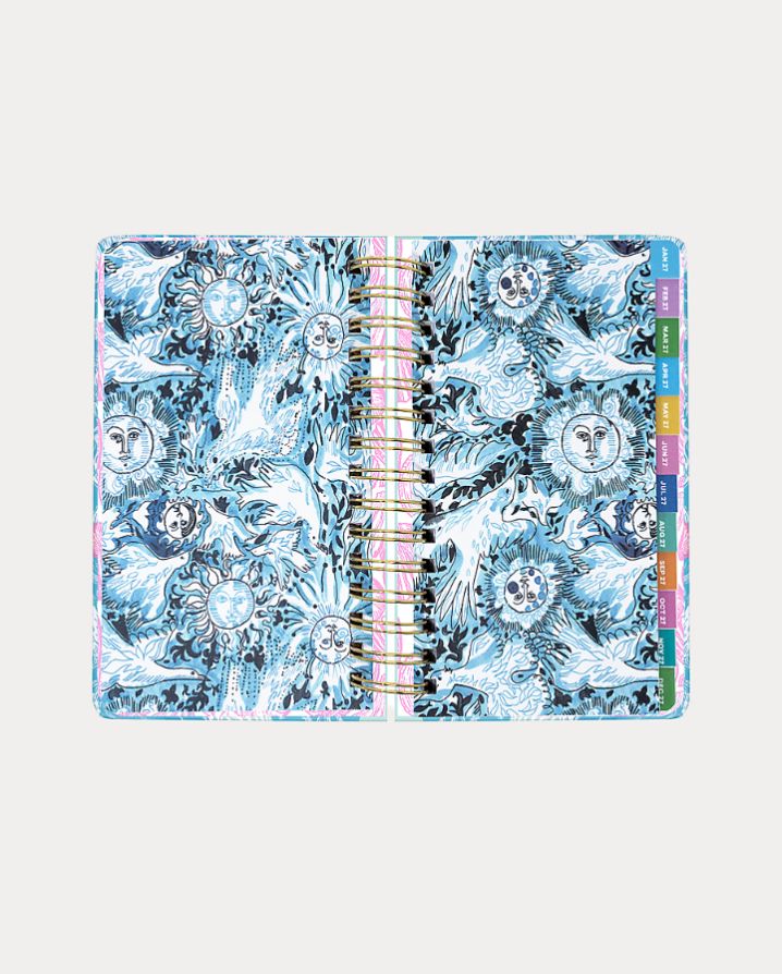 MEDIUM 17 MONTH AGENDA