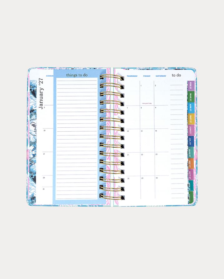 MEDIUM 17 MONTH AGENDA