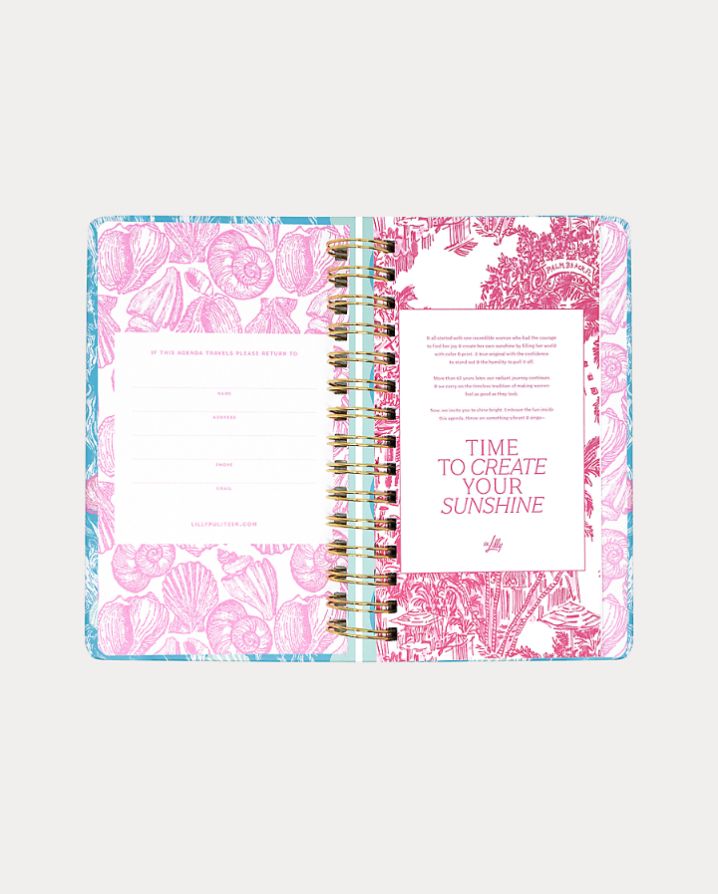 MEDIUM 17 MONTH AGENDA