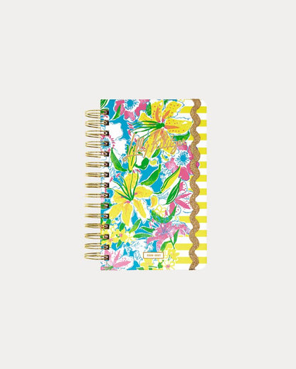 MEDIUM 17 MONTH AGENDA