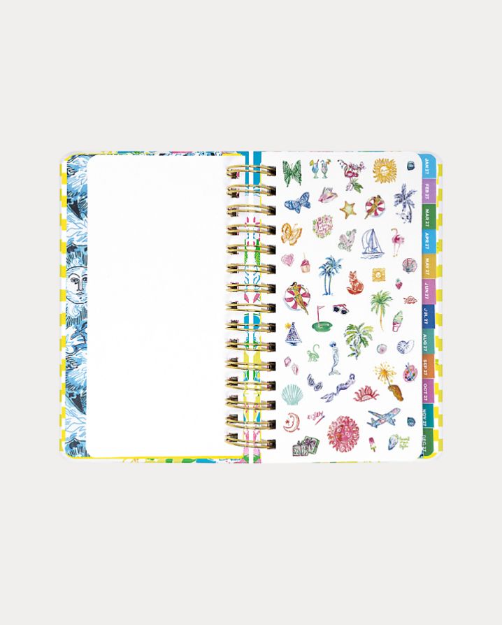 MEDIUM 17 MONTH AGENDA