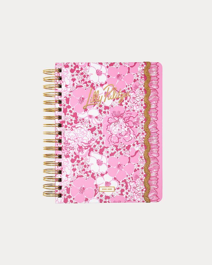 LARGE 17 MONTH AGENDA