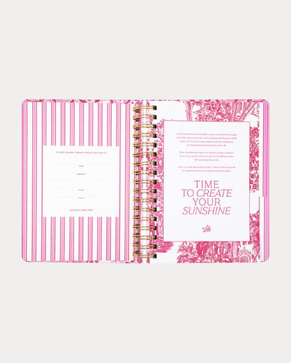 LARGE 17 MONTH AGENDA