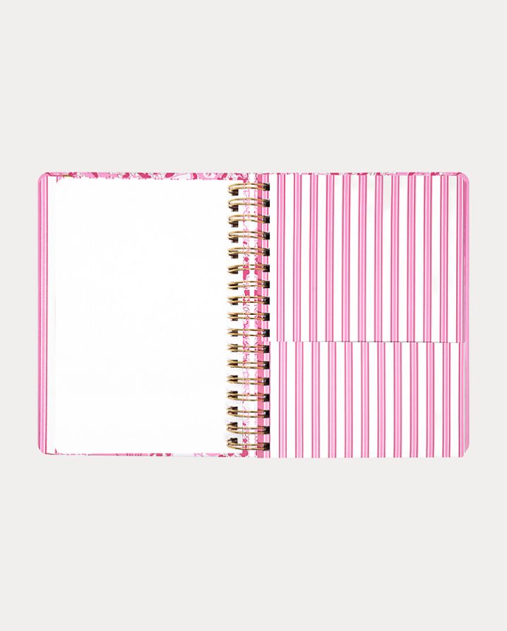 LARGE 17 MONTH AGENDA