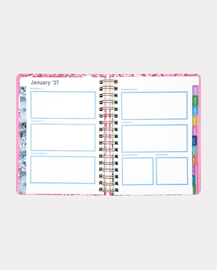 LARGE 17 MONTH AGENDA