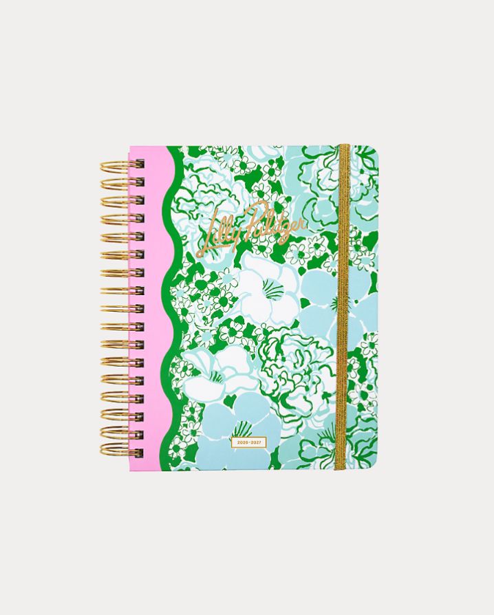 LARGE 17 MONTH AGENDA