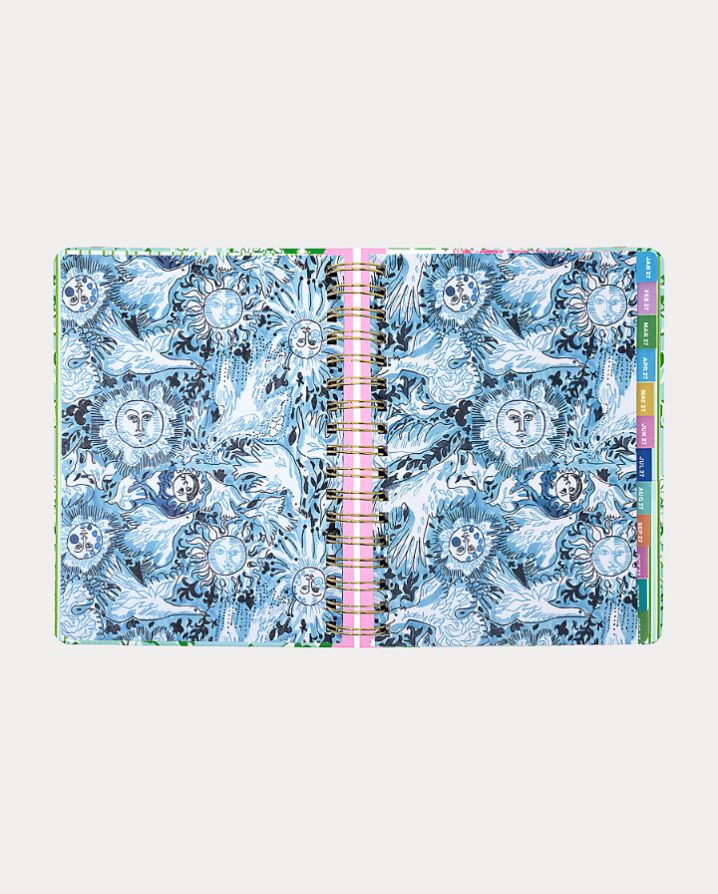 LARGE 17 MONTH AGENDA