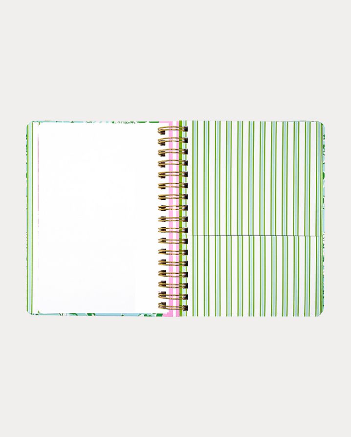 LARGE 17 MONTH AGENDA