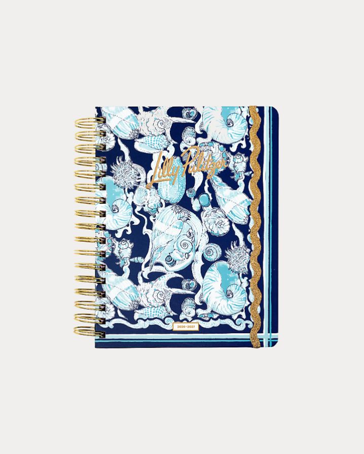 LARGE 17 MONTH AGENDA