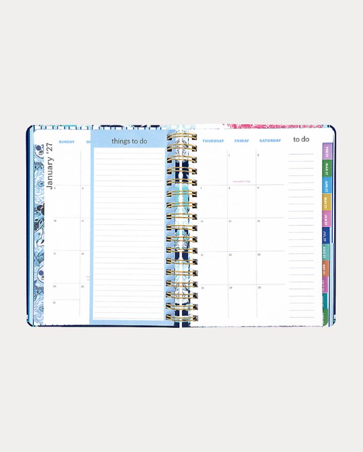 LARGE 17 MONTH AGENDA
