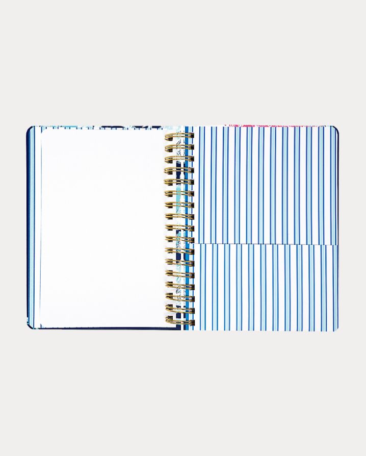 LARGE 17 MONTH AGENDA