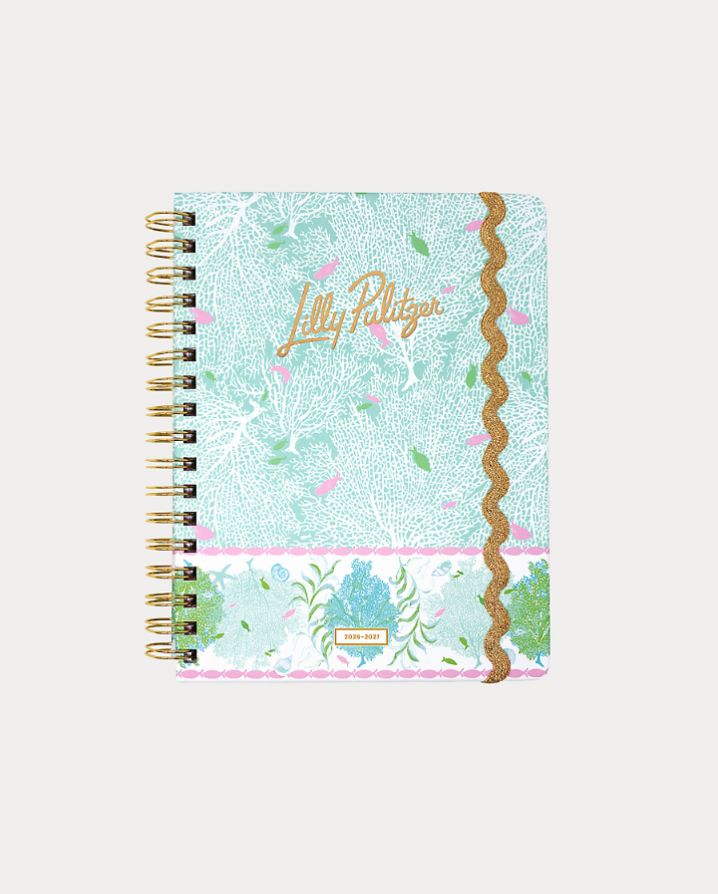 LARGE 17 MONTH AGENDA