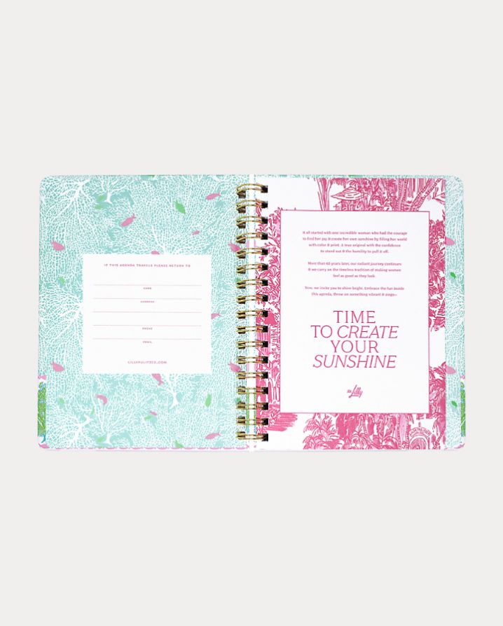 LARGE 17 MONTH AGENDA