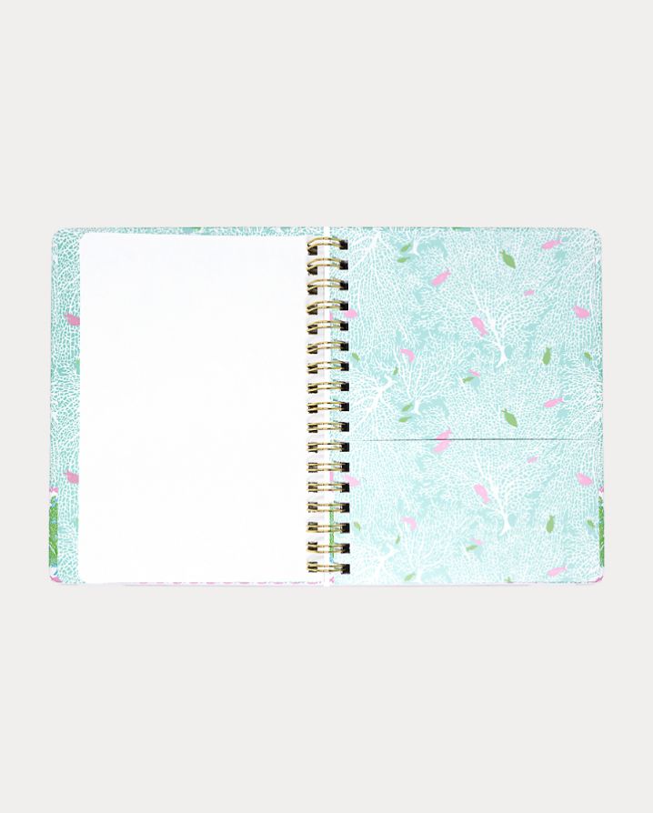 LARGE 17 MONTH AGENDA