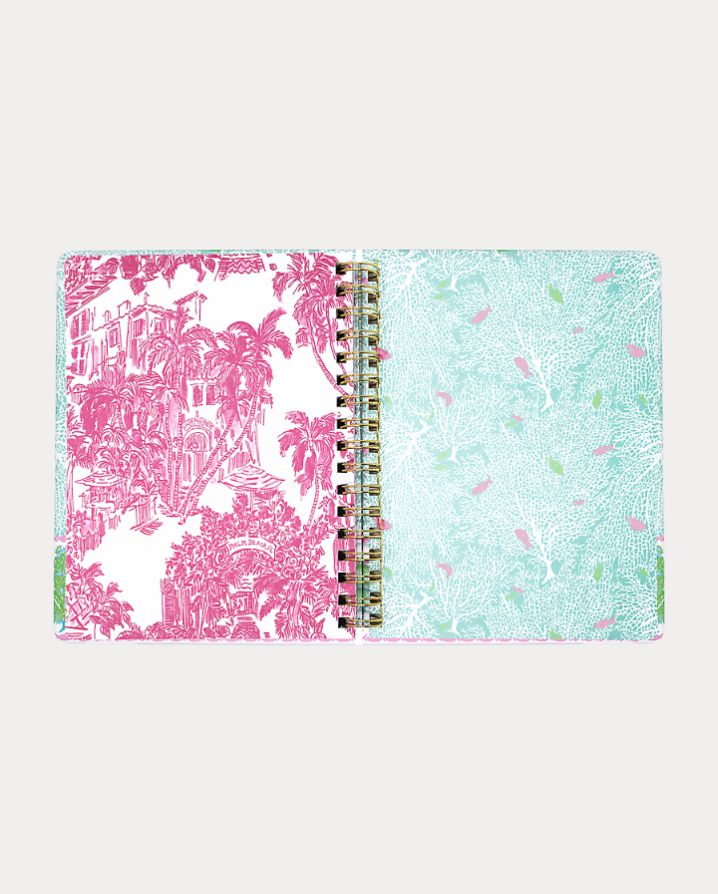 LARGE 17 MONTH AGENDA