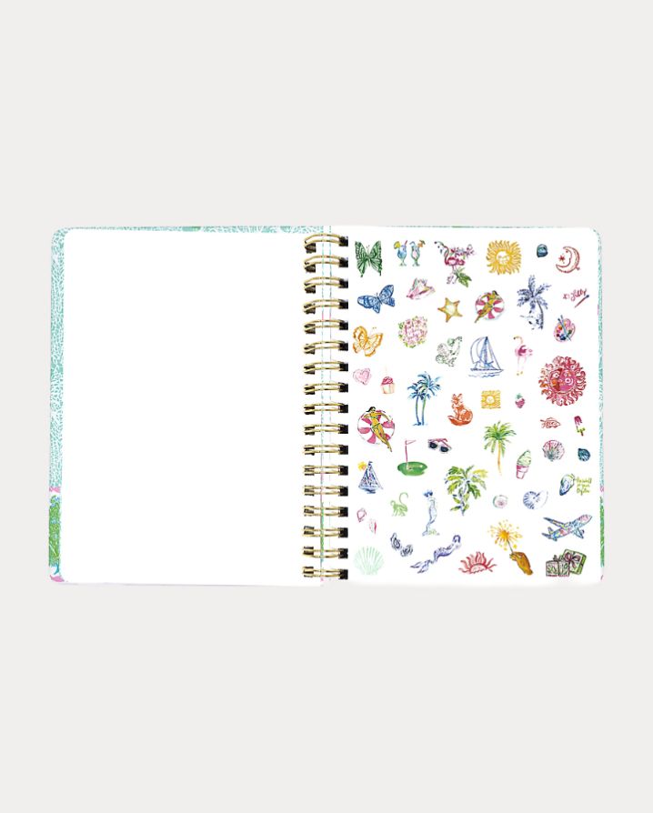 LARGE 17 MONTH AGENDA
